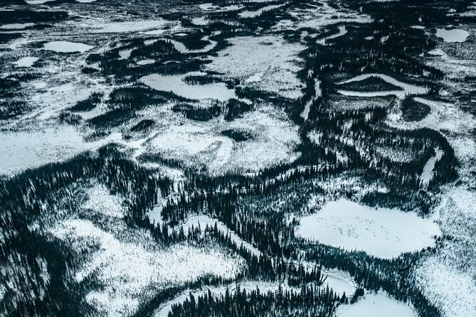 reindeer-and-heli-flightseeing-day-trip-with-lunch