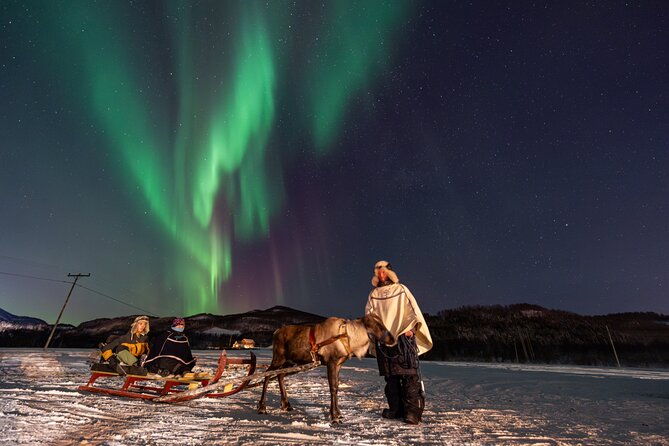 reindeer-feeding-and-sledding-sami-storytelling-night-tour