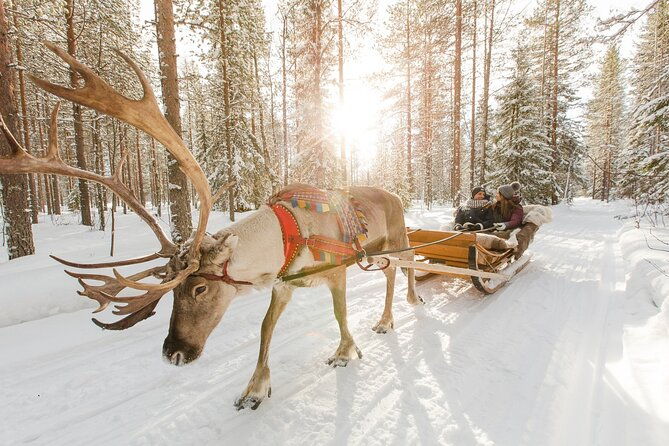 reindeer-sleigh-ride-and-farm-experience-from-rovaniemi