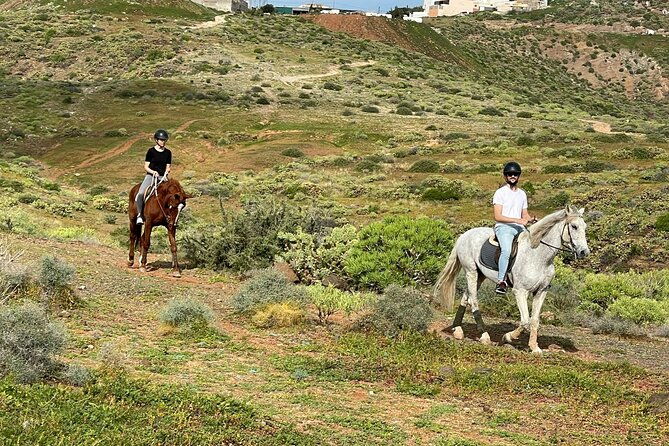 relaxing-horse-riding-tour-in-gran-canaria-2