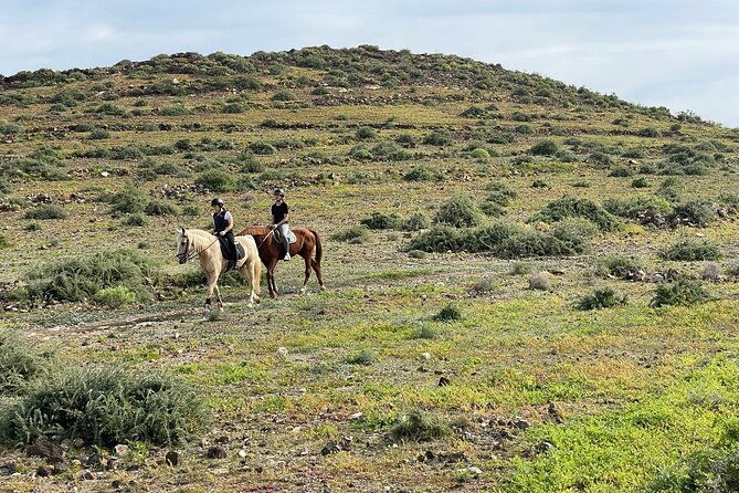 relaxing-horse-riding-tour-in-gran-canaria-4