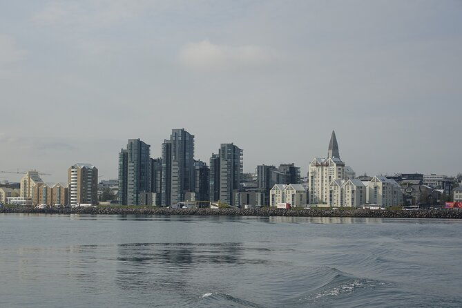 reykjaviks-finest-catch-guided-sea-angling-tour-for-all-levels