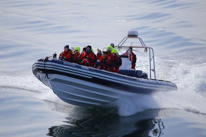 rib-boat-express-whales-eyjafjord-and-akureyri