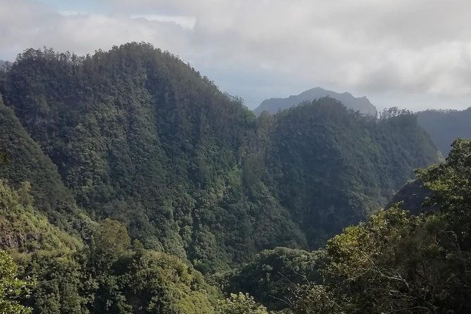 ribeiro-frio-portela-2