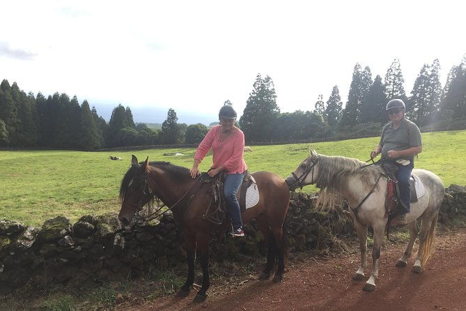 ride-a-volcano-go-to-the-gardens-in-the-woods