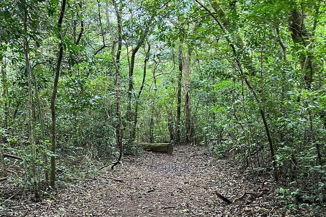 rincon-de-la-vieja-santa-maria-nature-hike-hot-springs-half-day