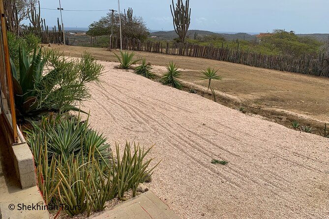 rincon-visit-with-local-guide