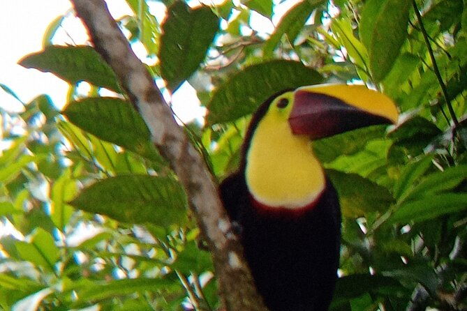 rio-celeste-and-sloth-sanctuary-combo-tour
