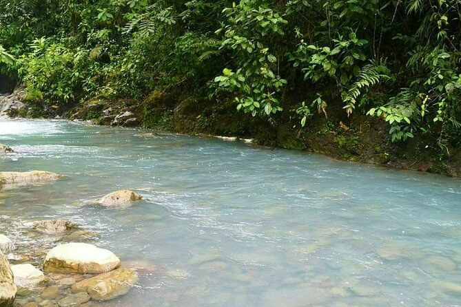 rio-celeste-river-waterfall-hike-and-hot-springs-tour-from-san-jose-costa-rica