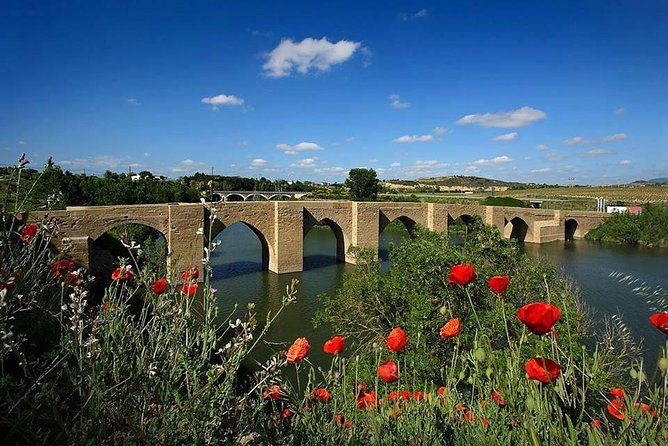 rioja-alavesa-wineries-and-medieval-villages-day-trip-2
