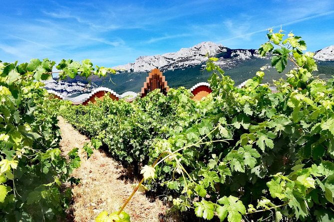 rioja-uncorked-private-enological-adventure