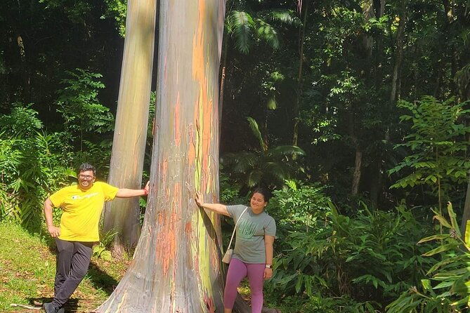 road-to-hana-full-day-tour-with-a-guide
