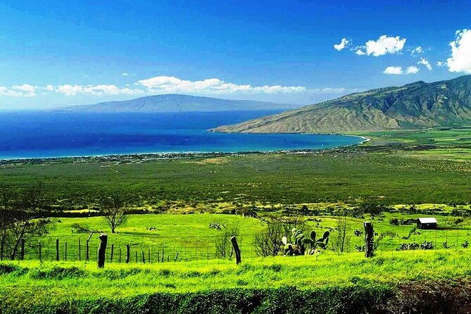 road-to-hana-private-jungle-tour-with-lahaina-side-pick-up-2