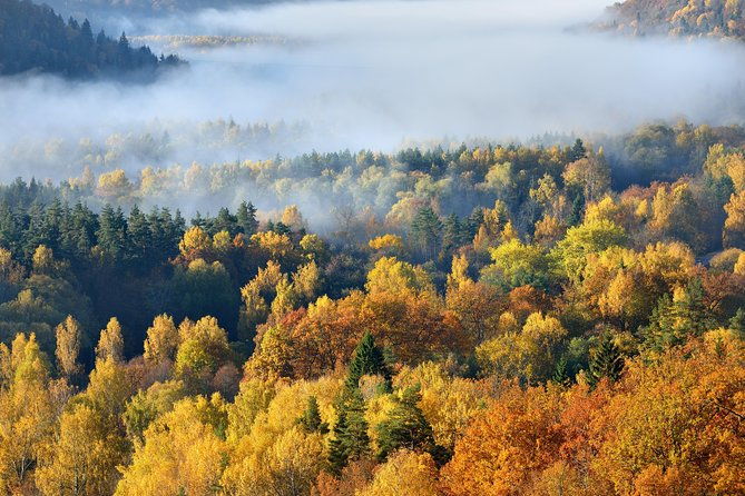 road-trip-to-cesis-ligatne-araisi-and-sigulda-all-inclusive