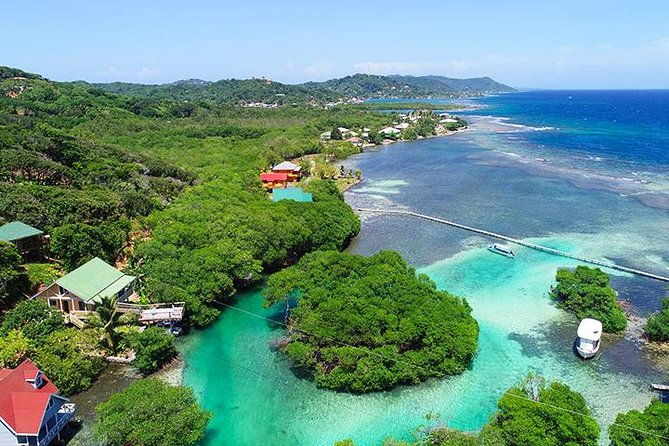 roatan-mangrove-tunnel-culture-tour-on-a-water-taxi-tuk-tuk