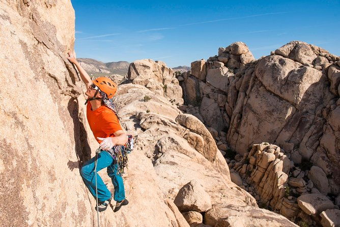 rock-climbing-trips-in-joshua-tree-national-park-8-hours