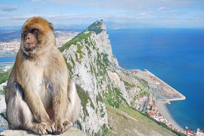 rock-tour-in-gibraltar-by-bus-with-tickets