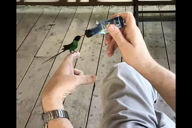 rockland-bird-sanctuary-and-hip-strip-shopping