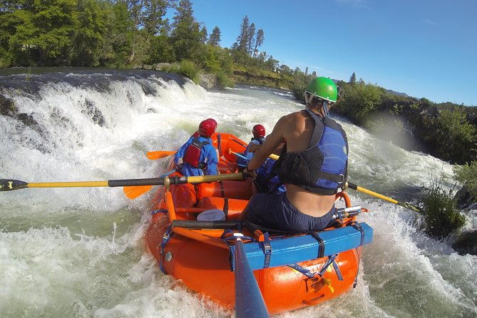 rogue-river-thrill-seeker-2