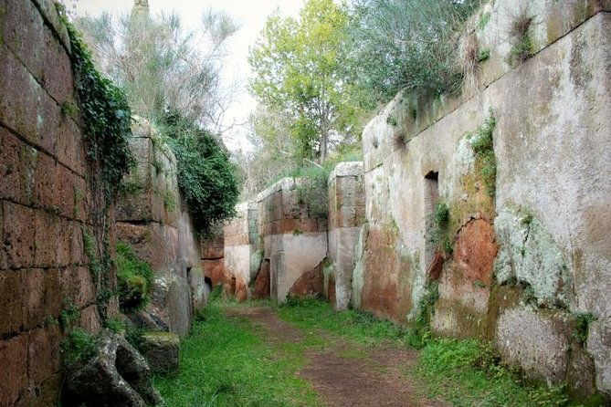 romes-enchanting-countryside-port-tourdriver-only-self-touring