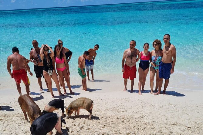 rose-island-swimming-pigs-half-day-boat-tour-with-lunch
