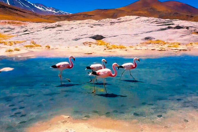 route-of-the-salt-flats-2