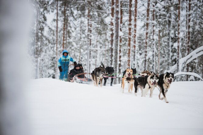 rovaniemi-2-days-activities-package-3