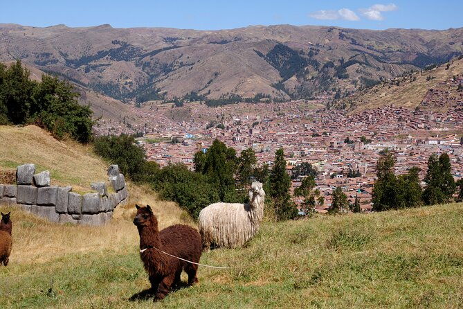 sacsayhuaman-incas-temple-tambomachay-puca-pucara-qenqo-half-day-tour
