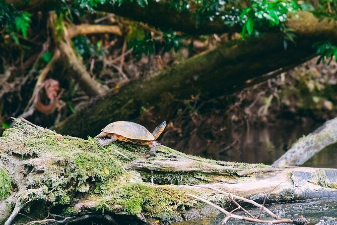 safari-float-sarapiqui-river-from-san-jose