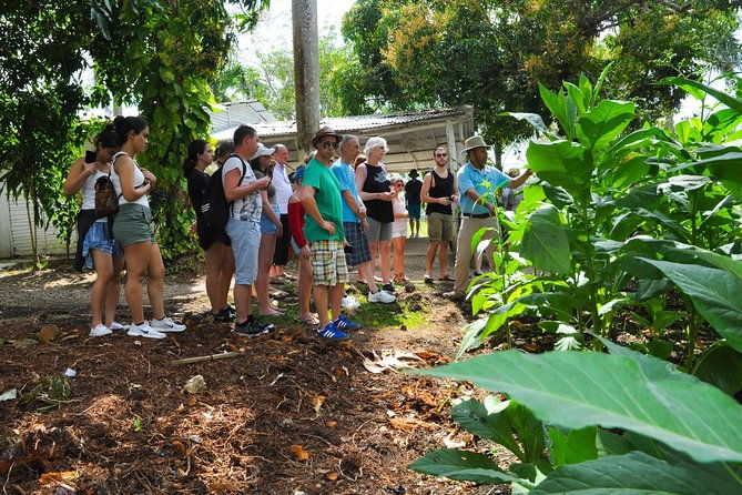 safari-supreme-full-day-outdoor-adventure-punta-cana