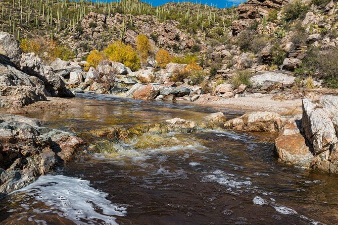 saguaro-np-and-mt-lemmon-self-guided-driving-audio-tour-bundle