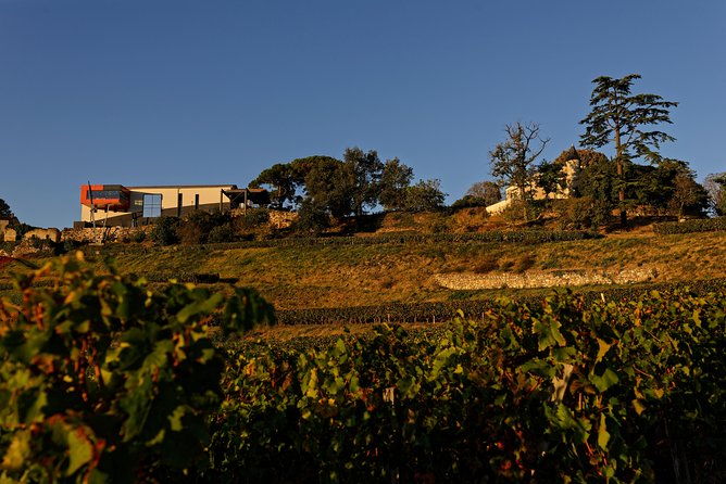 saint-emilion-grand-cru-classified-gourmet-tour-in-french-2