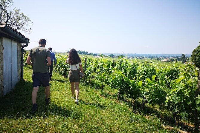 saint-emilion-private-full-day-wine-tour-from-bordeaux-2