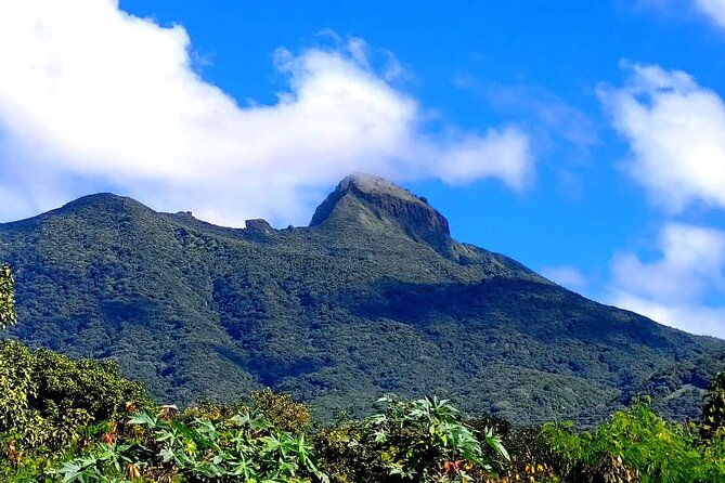 saint-kitts-highest-peak-hike-mount-liamuiga-volcano