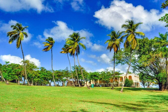 saint-lucia-pigeon-island-ultimate-relax-experience-inc-lunch