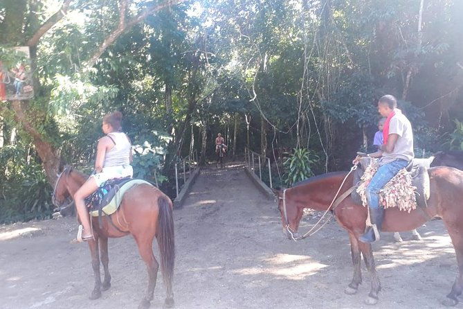 samana-whales-key-lift-limon-waterfall-horseback-riding
