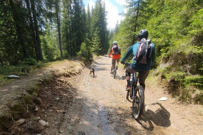 sambata-de-sus-e-bike-guided-tours-2
