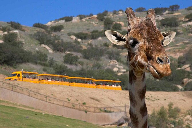 san-diego-explorer-pass-save-up-to-50-includes-san-diego-zoo
