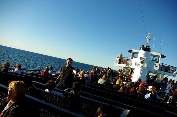 san-diego-whale-watching-cruise-2