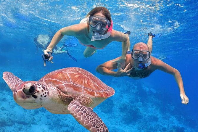 san-juan-guided-snorkeling-experience-with-transport-8am-or-3pm