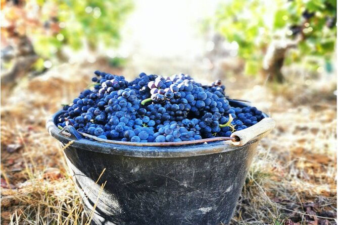 sancerre-private-wine-tour-with-10-tastings-and-lunch-from-paris