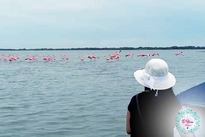 sanctuary-los-flamingos-tour