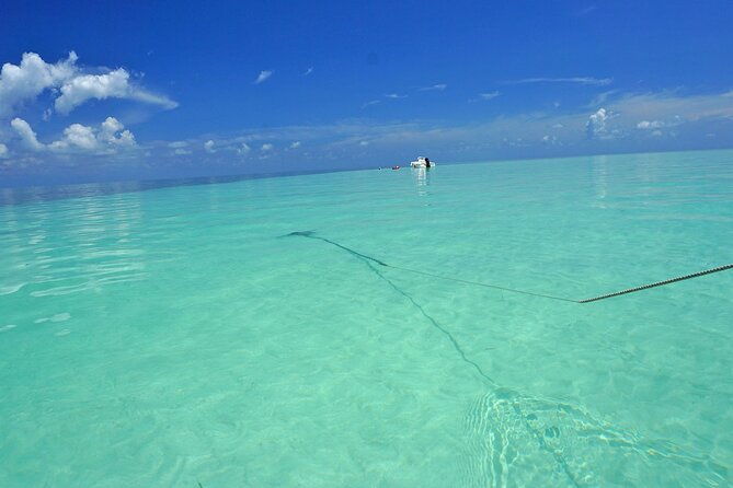 sandbar-excursion-in-key-west