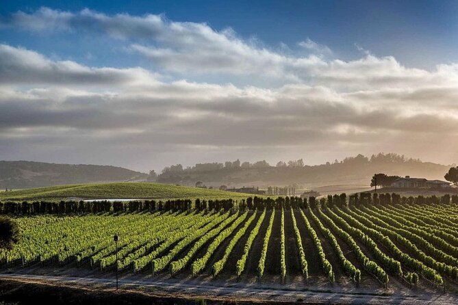 santa-barbara-wine-country-vineyard-village-tour