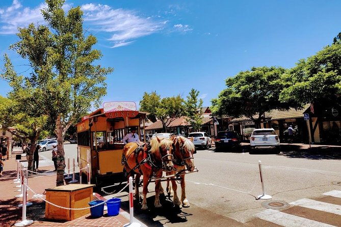 santa-barbara-wine-tasting-day-tour-from-los-angeles