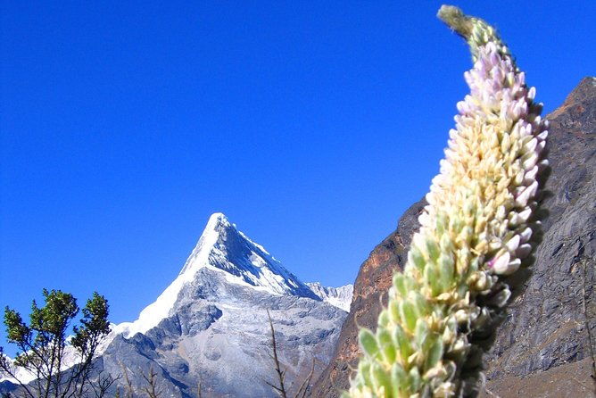 santa-cruz-llanganuco-trek-cordillera-blanca
