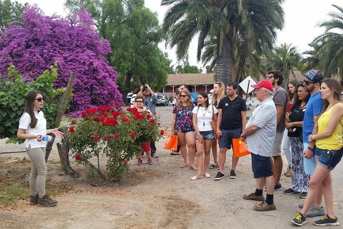 santiago-full-day-visiting-santa-rita-undurraga-vineyards-entraces-included