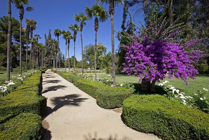 santiago-half-day-visit-to-undurraga-vineyard-entrance-and-transport-included