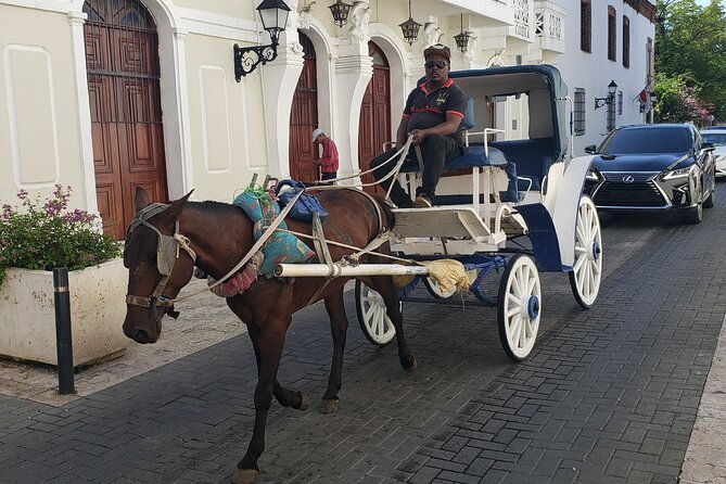 santo-domingo-city-tours-full-day-from-punta-cana