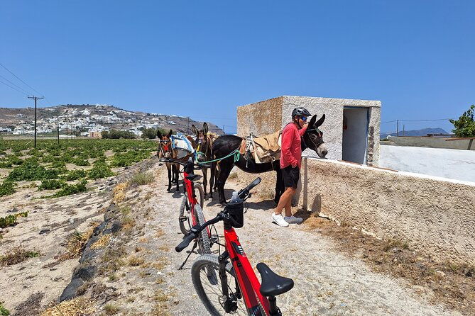 santorini-e-bike-tour-experience